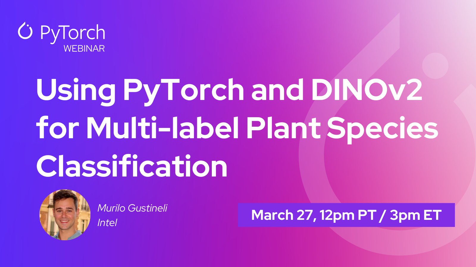 Using PyTorch and DINOv2 for Multi-label Plant Species Classification